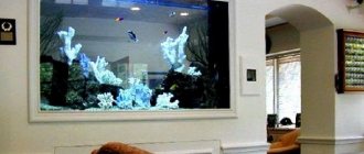 Partition with aquarium