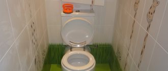 Cabinet in the toilet behind the toilet (30 examples with photos)