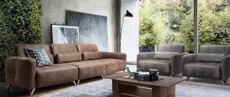 Sofa styles: modern and current models