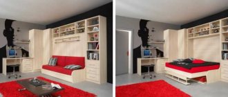 Successful examples of combining a bedroom and living room: 100 best ideas